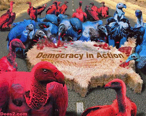 democracyinaction